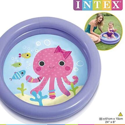 Piscina Inflable Pequeña